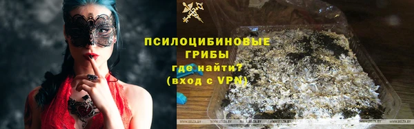 герыч Алексин