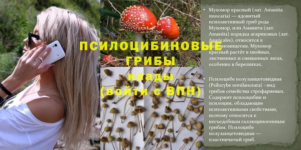 герыч Алексин