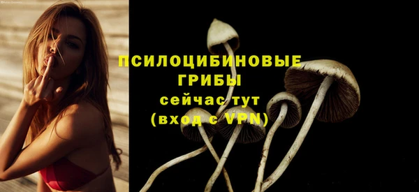 герыч Алексин