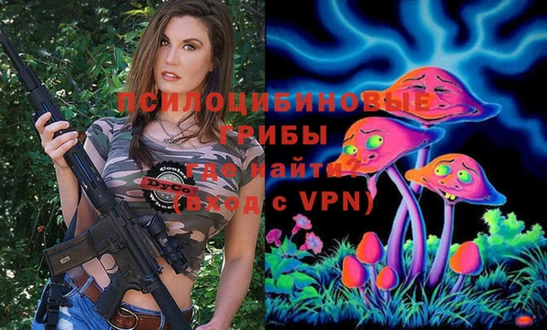 герыч Снежногорск