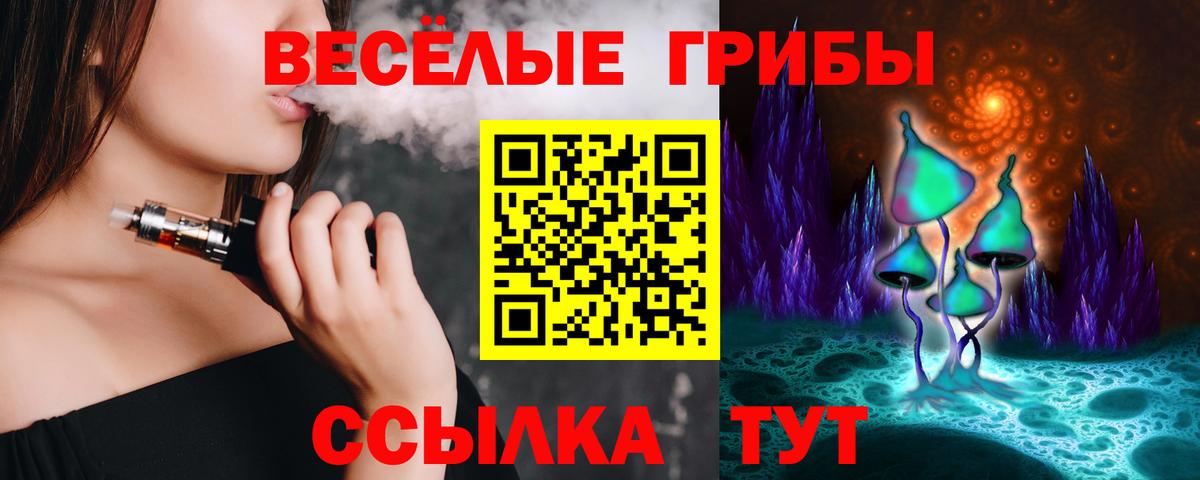 Псилоцибиновые грибы мицелий Апшеронск